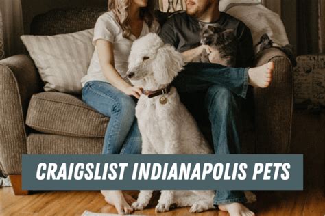 ISO small dog (Fishers) ISO small dog. . Craigslist pets indianapolis